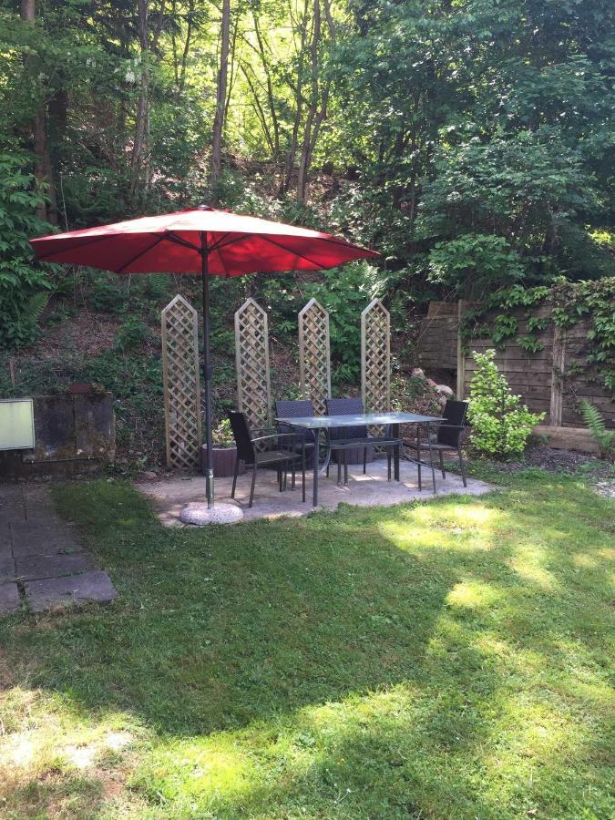 Ferienhaus Bussard Gammelsbach Luaran gambar